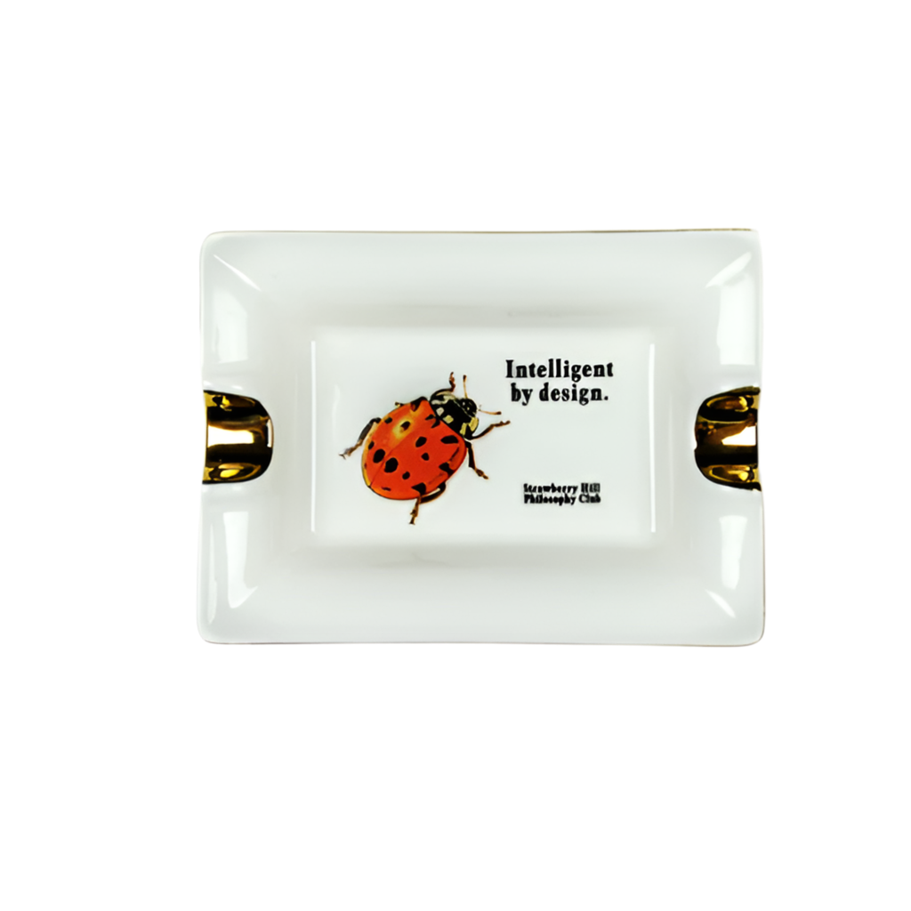 Strawberry Hill Philosophy Club Intelligent by Ceramic Tray