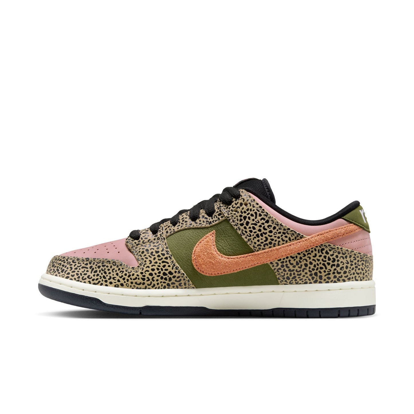Nike SB Dunk Low Pro Arts and Rec Shoes