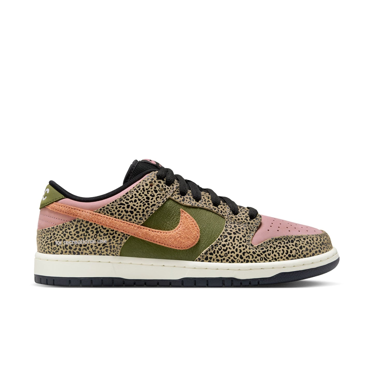 Nike SB Dunk Low Pro Arts and Rec Shoes
