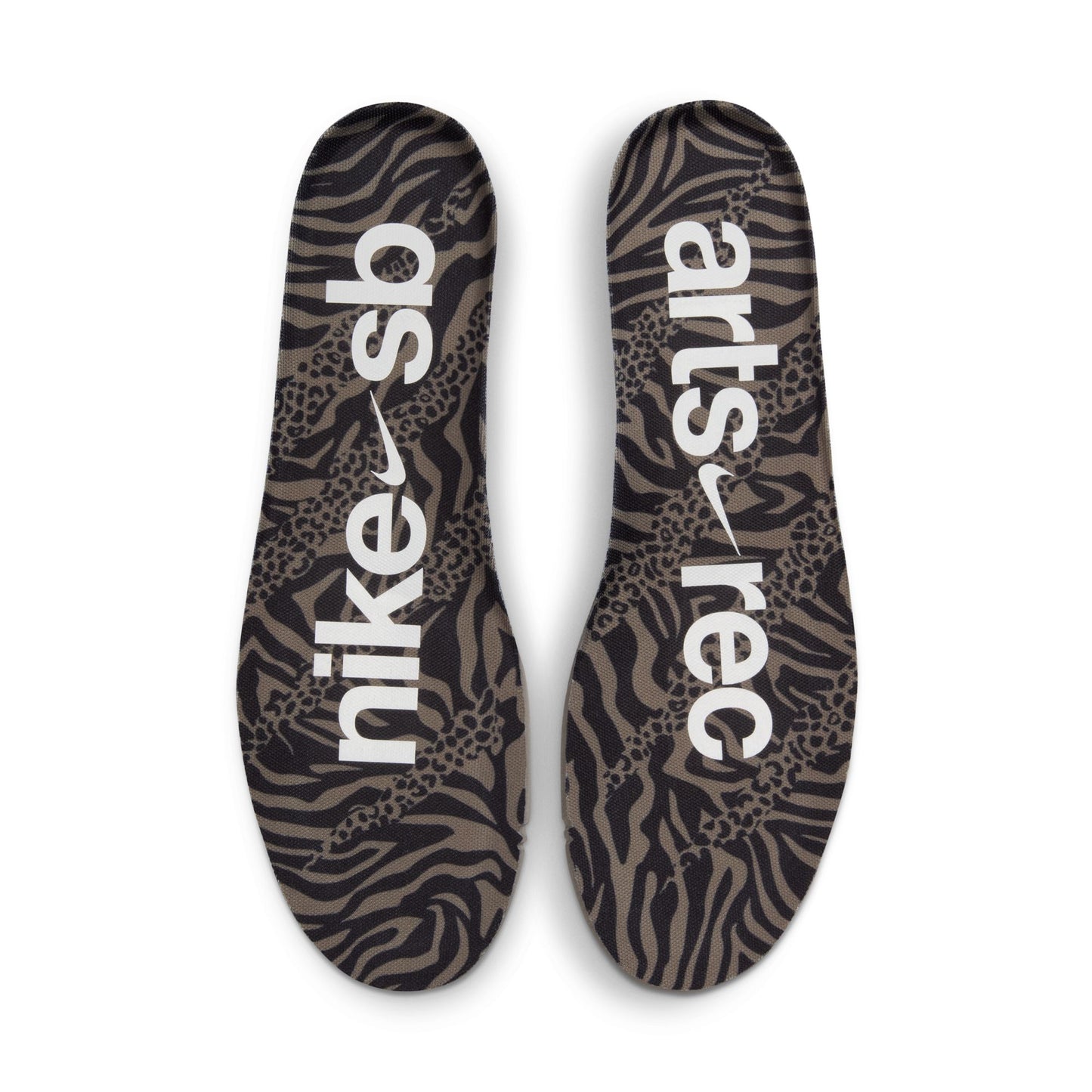Nike SB Dunk Low Pro Arts and Rec Shoes