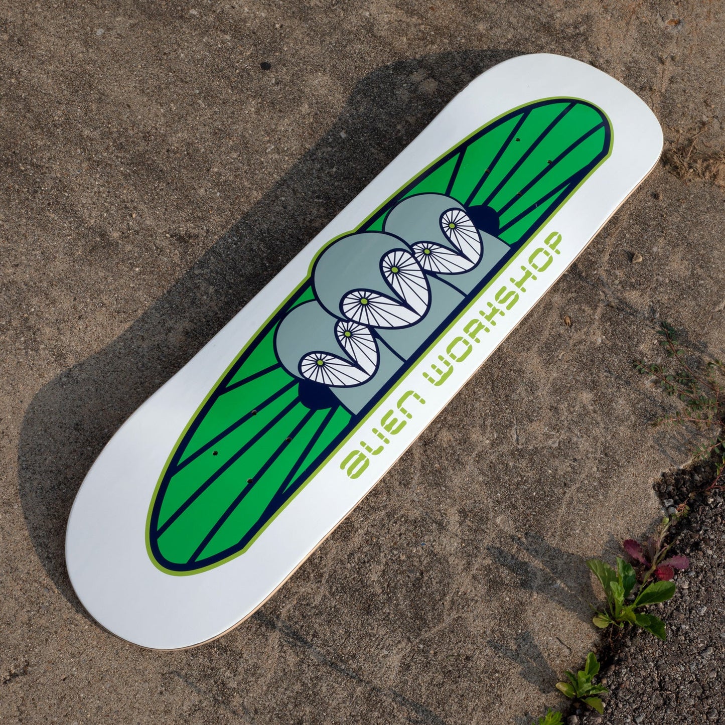 A skateboard deck with a white base, featuring a green and gray graphic design with bicycle wheels and the text 'ALIEN WORKSHOP' in green, photographed on a concrete surface.