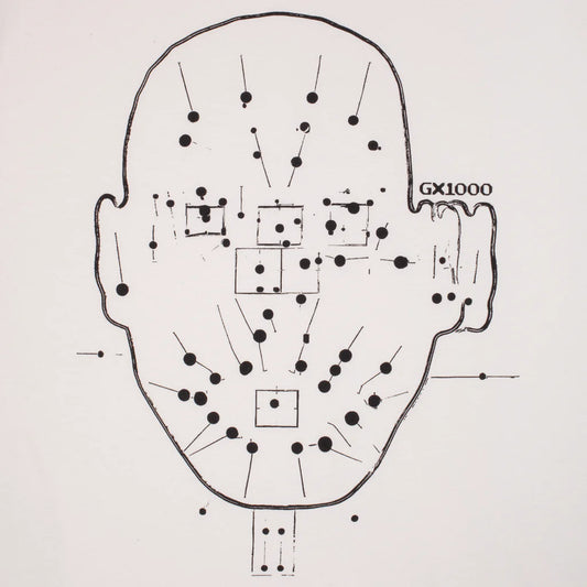 Diagram of a head with穴位 (acupressure points) labeled on a white background