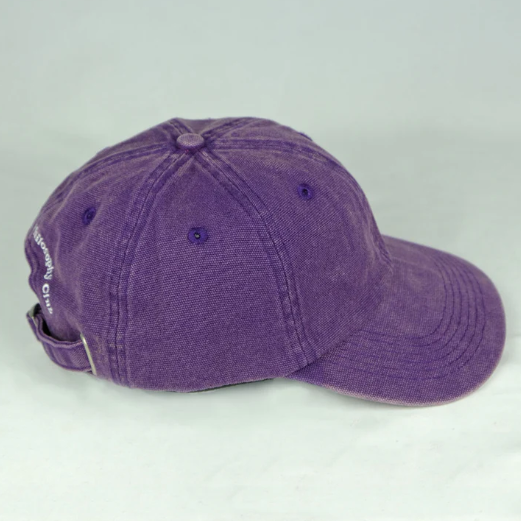 Purple baseball cap on a light gray background