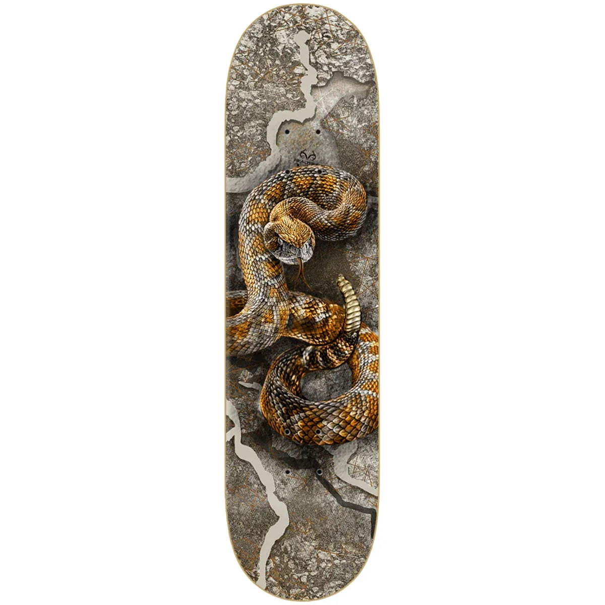 A skateboard deck featuring a detailed graphic print of a coiled rattlesnake over a textured gray and brown stone background, shown against a plain white studio backdrop.