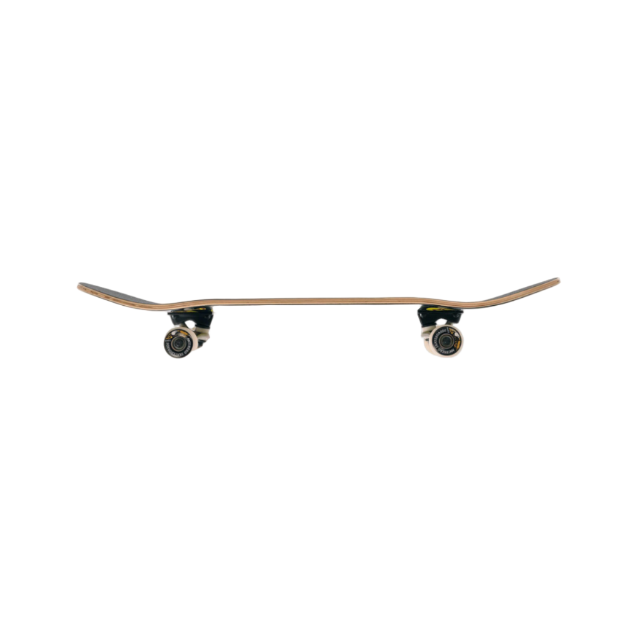 Skateboard with a white background