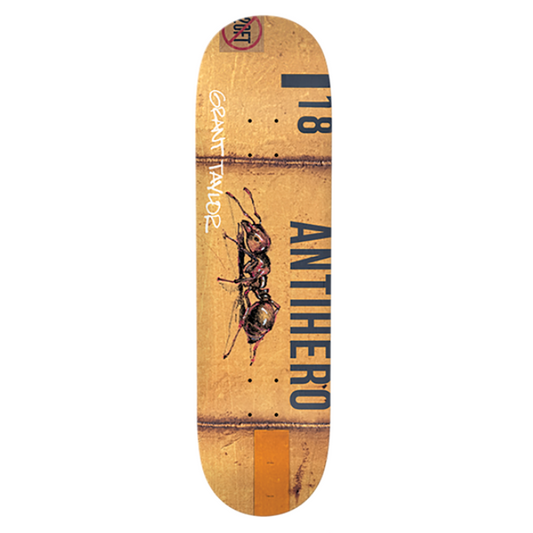 Anti Hero Skateboard Deck Grant Intermodal 8.32