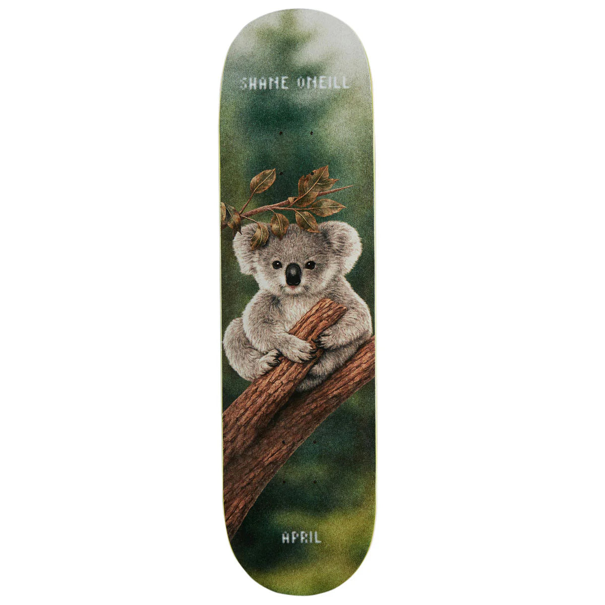 A skateboard deck featuring a detailed illustration of a koala sitting on a tree branch against a dark green forest background. The text 'SHAME ONEILL' is printed at the top and 'APRIL' at the bottom.