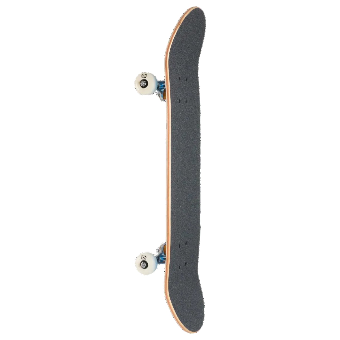 A skateboard shown vertically from the underside, featuring a dark gray grip tape deck, natural wood edge, blue trucks, and white wheels against a plain white background.