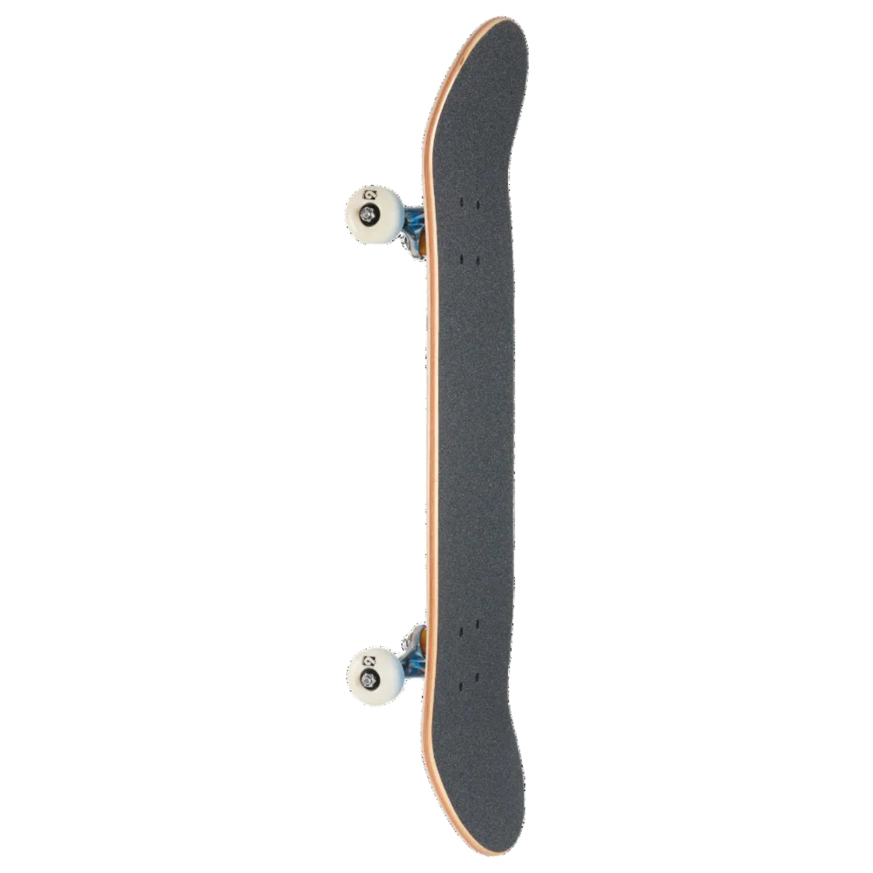 A skateboard shown vertically from the underside, featuring a dark gray grip tape deck, natural wood edge, blue trucks, and white wheels against a plain white background.