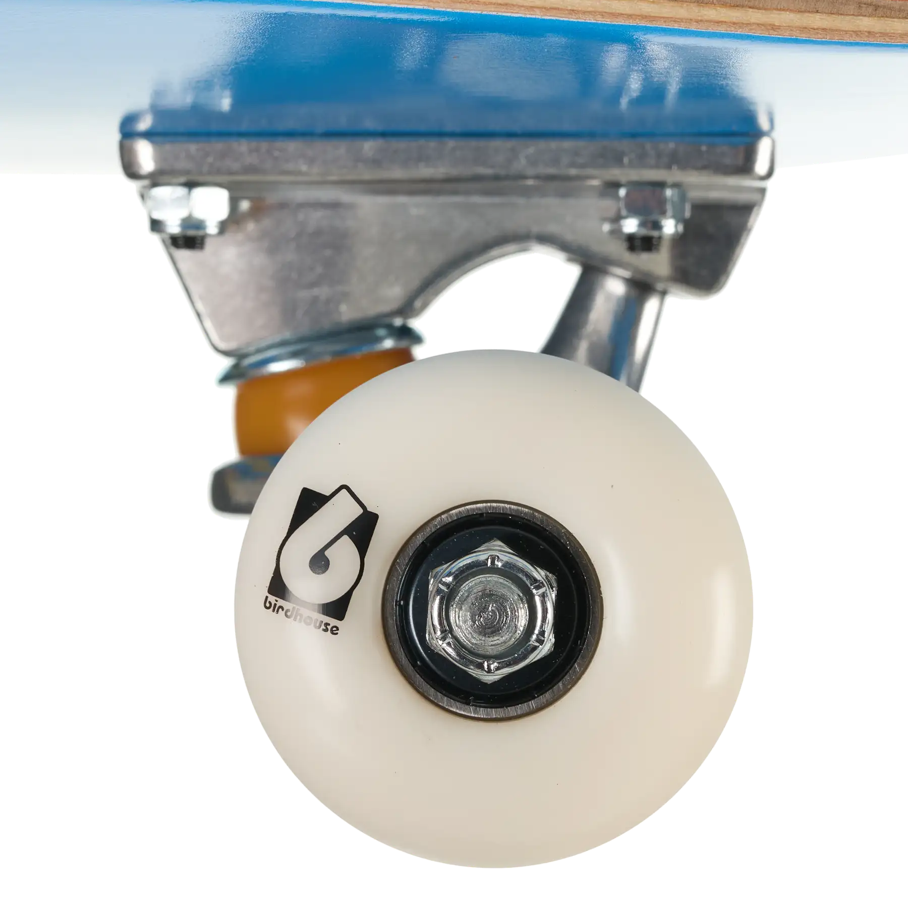 Close-up of a skateboard wheel and truck assembly on a white background, showing a cream-colored wheel with a black logo, silver metal hardware, and part of the blue and wood deck.
