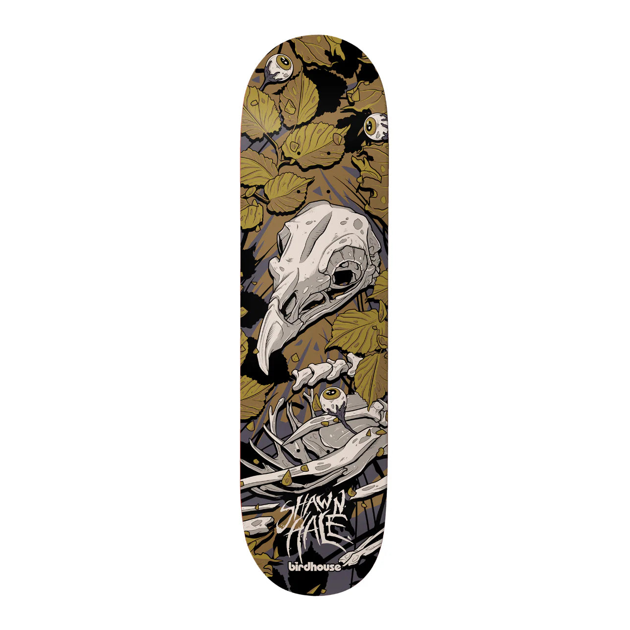 Skateboard deck with bird skull design on a white background