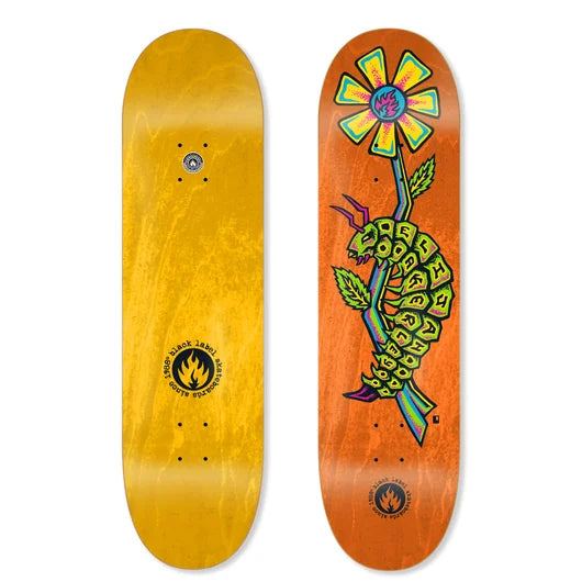 Two skateboard decks, one yellow and one with a colorful design, on a white background.