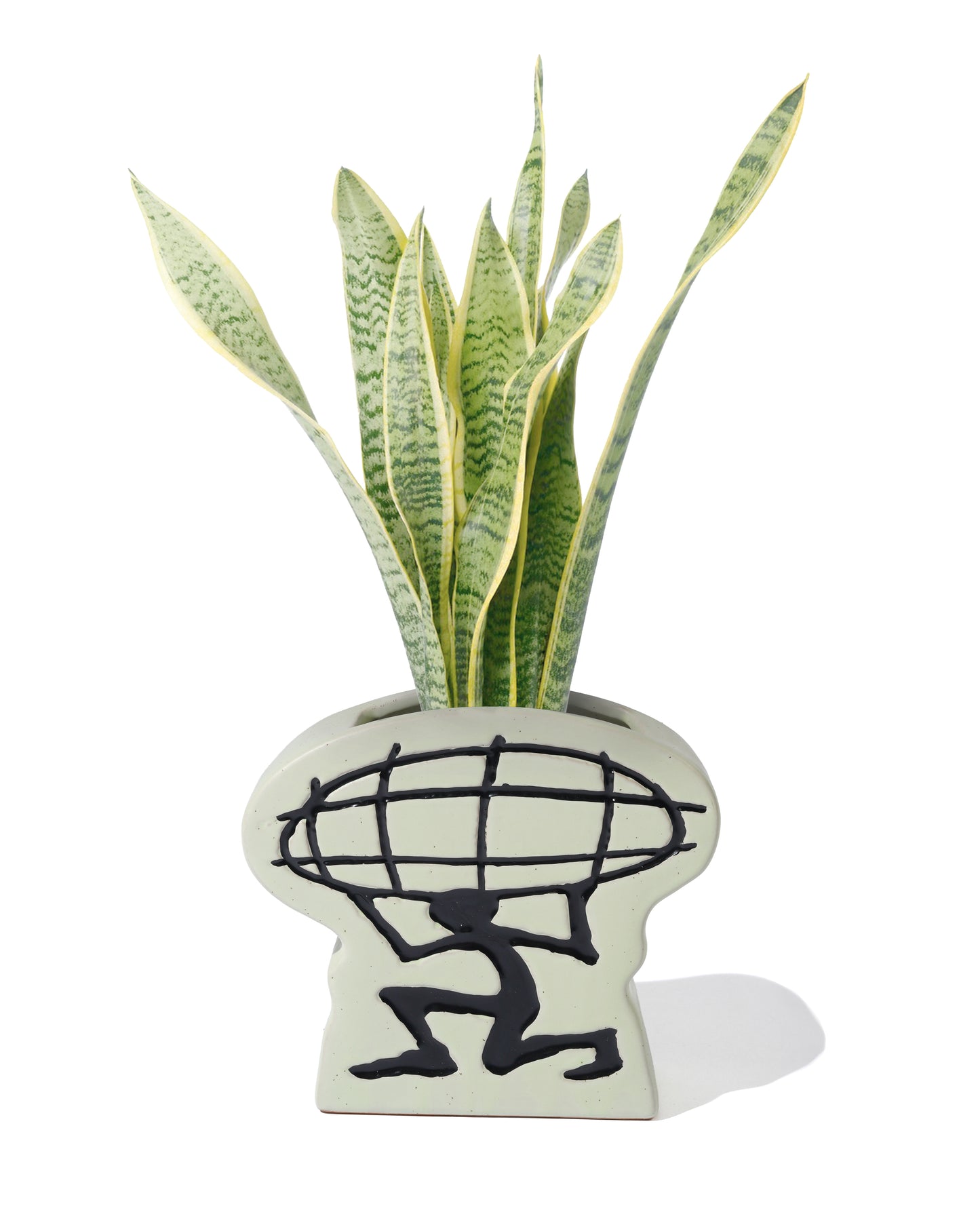 Decorative plant pot with a unique design on a white background