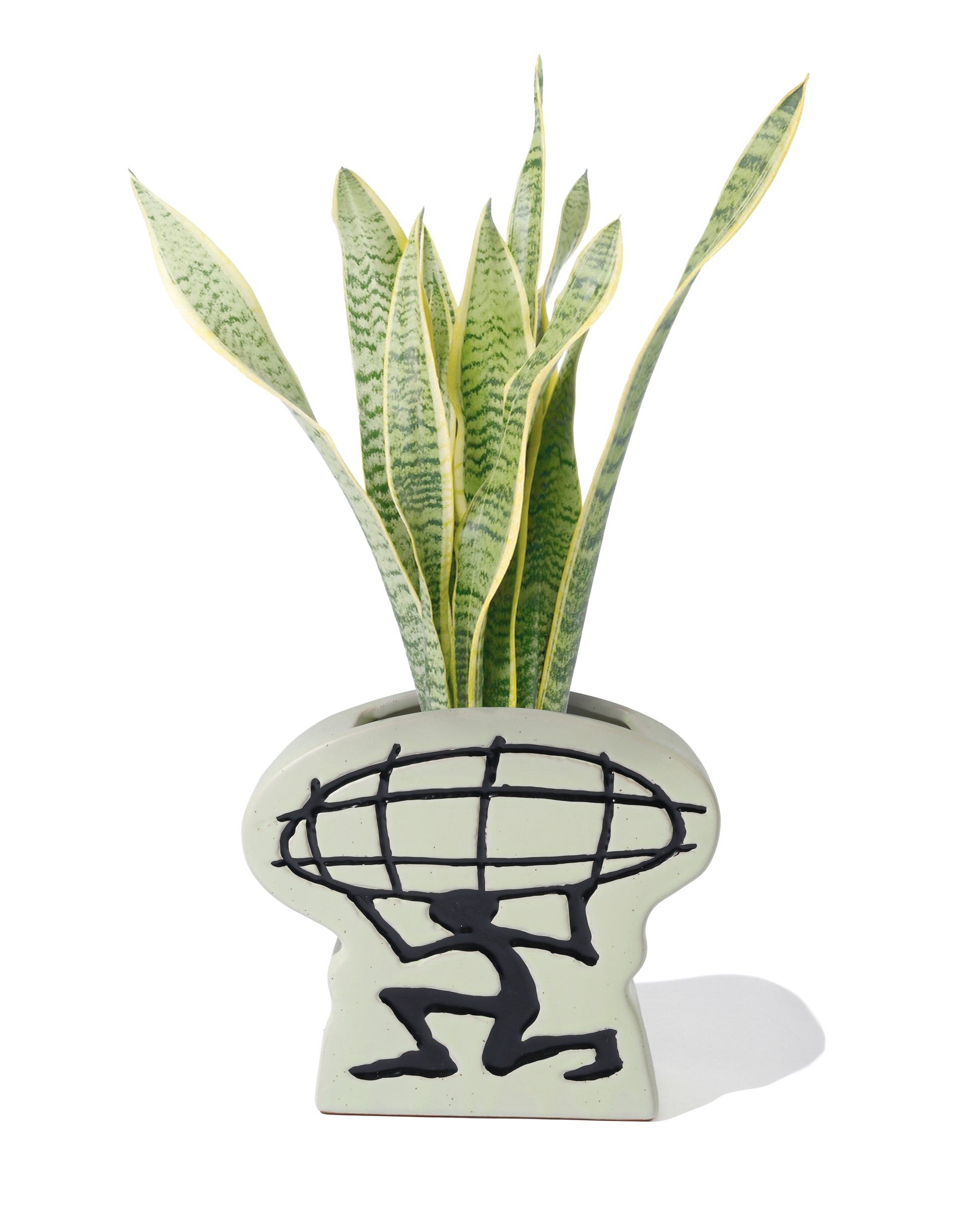 Decorative plant pot with a unique design on a white background