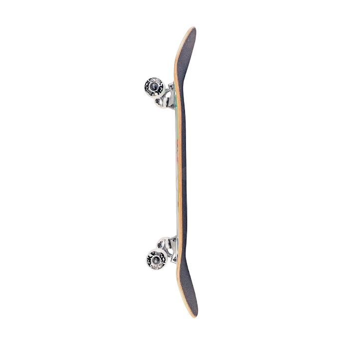skateboard with a white background