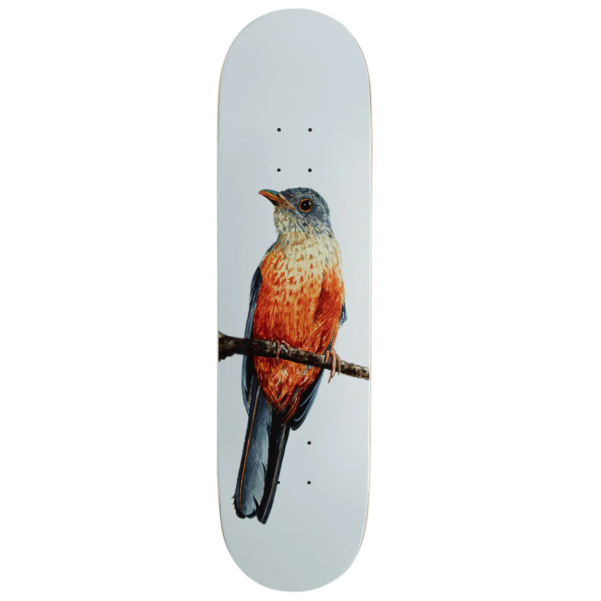 A skateboard deck with a white background featuring a detailed illustration of a bird perched on a branch, shown against a plain white background.