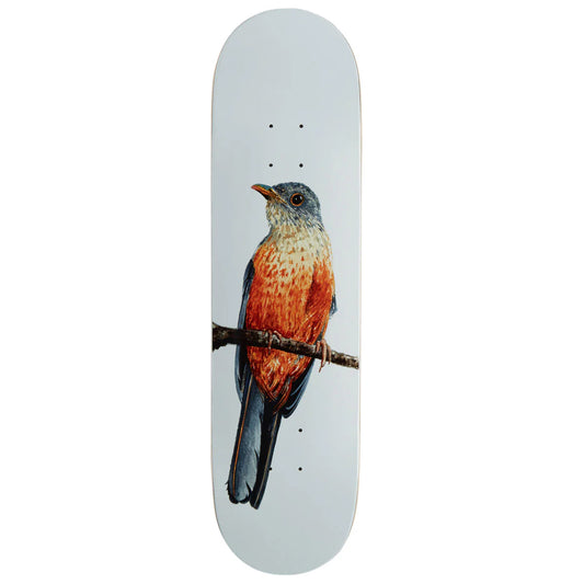 A skateboard deck with a white background featuring a detailed illustration of a bird perched on a branch, shown against a plain white background.