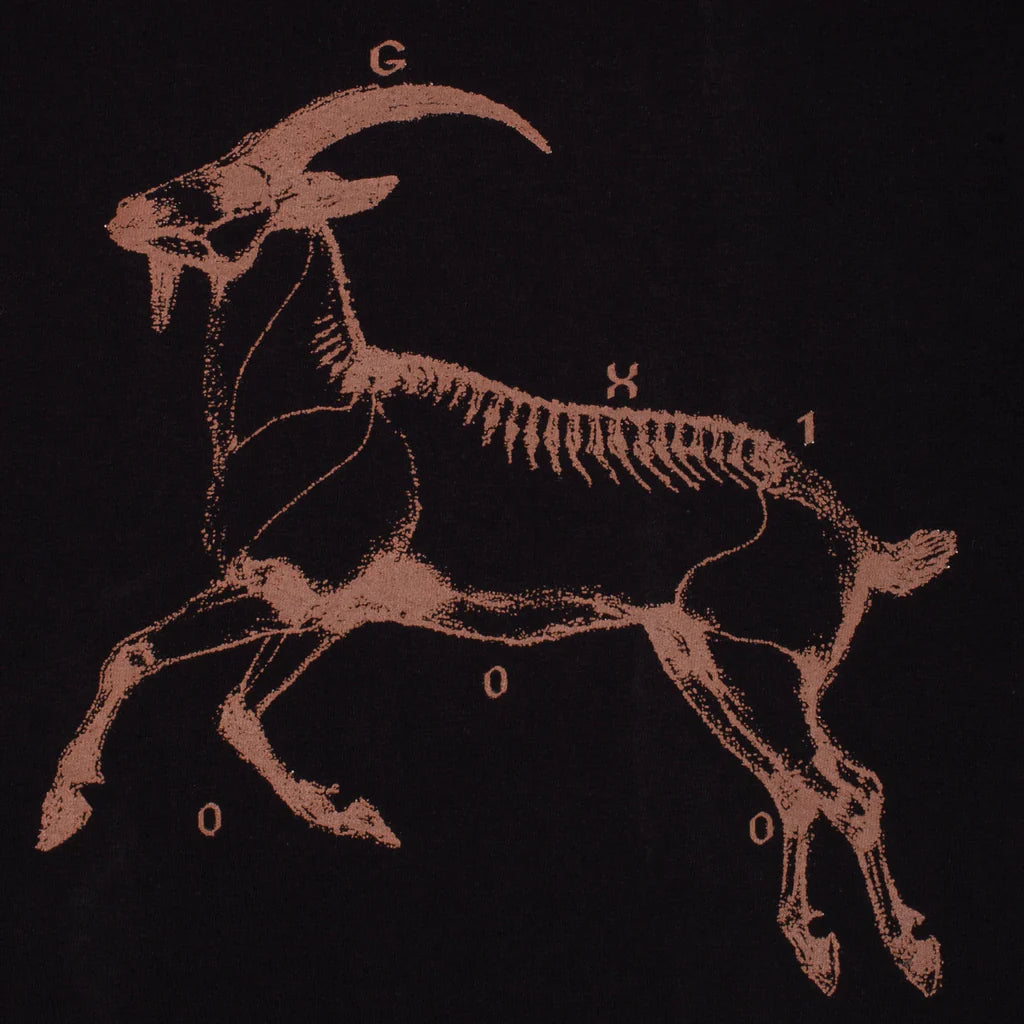 Skeletal illustration of a goat on a black background