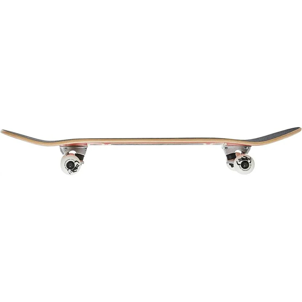 Skateboard on a white background