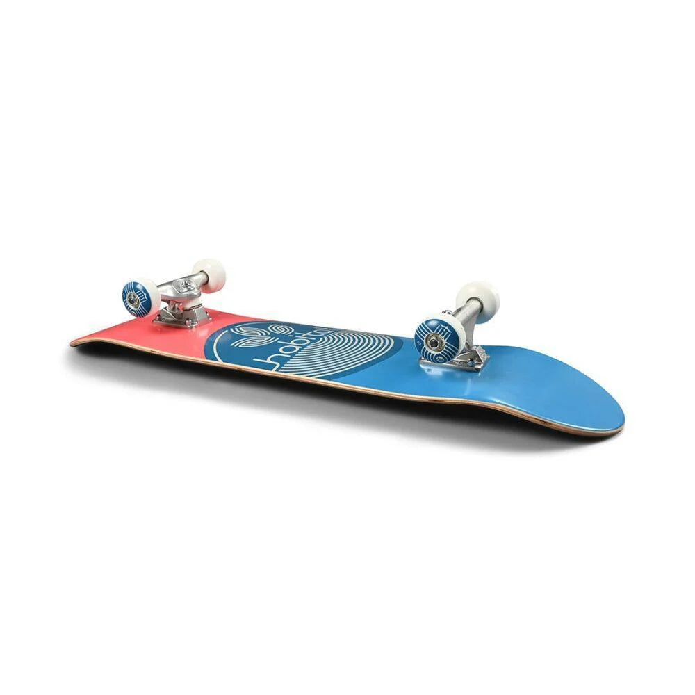 Skateboard with a red and blue deck on a white background
