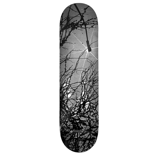 Late Nite Stars Skateboard Deck Roots 8.38