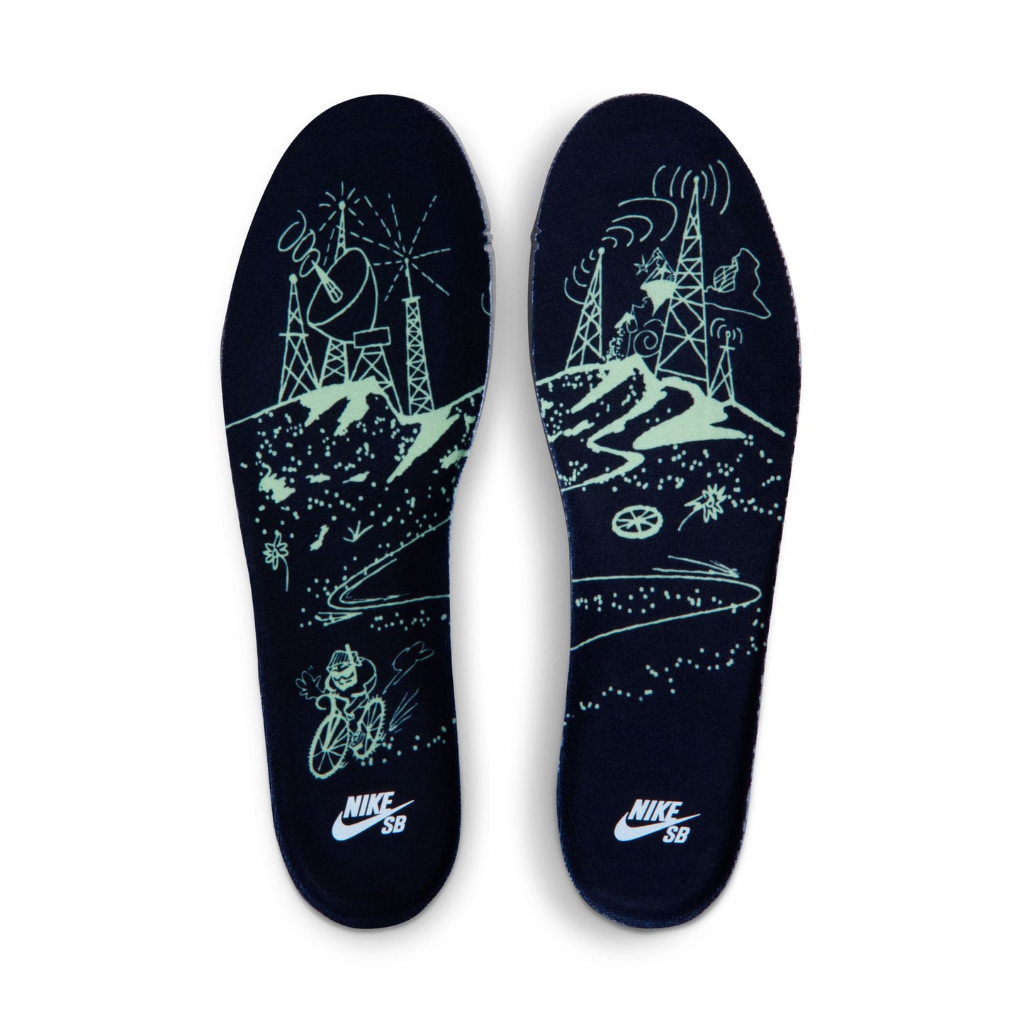 Nike SB Dunk Low Pro Verdugo Mountain Shoes