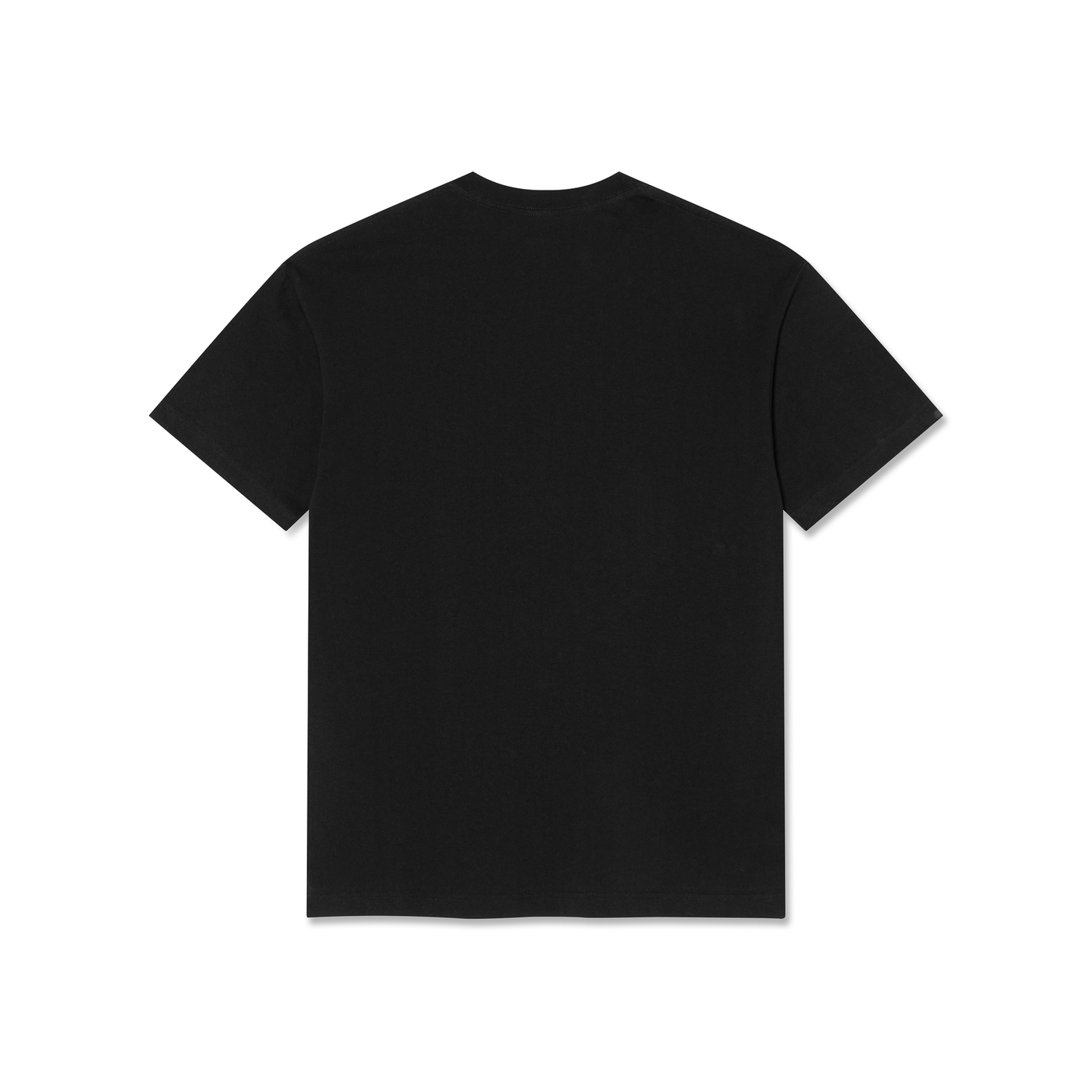 Polar Skate Co Tee Ladybug Black