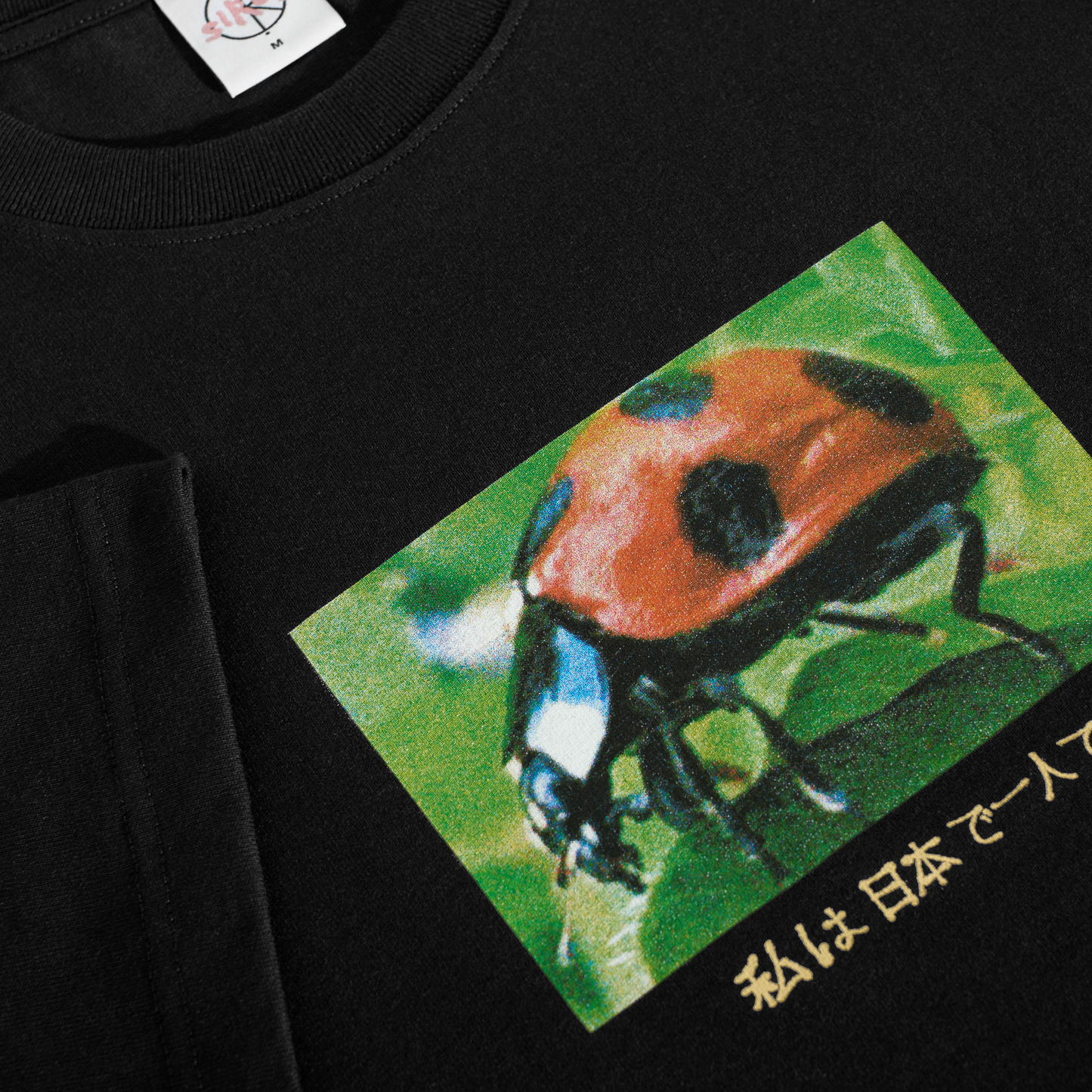 Polar Skate Co Tee Ladybug Black