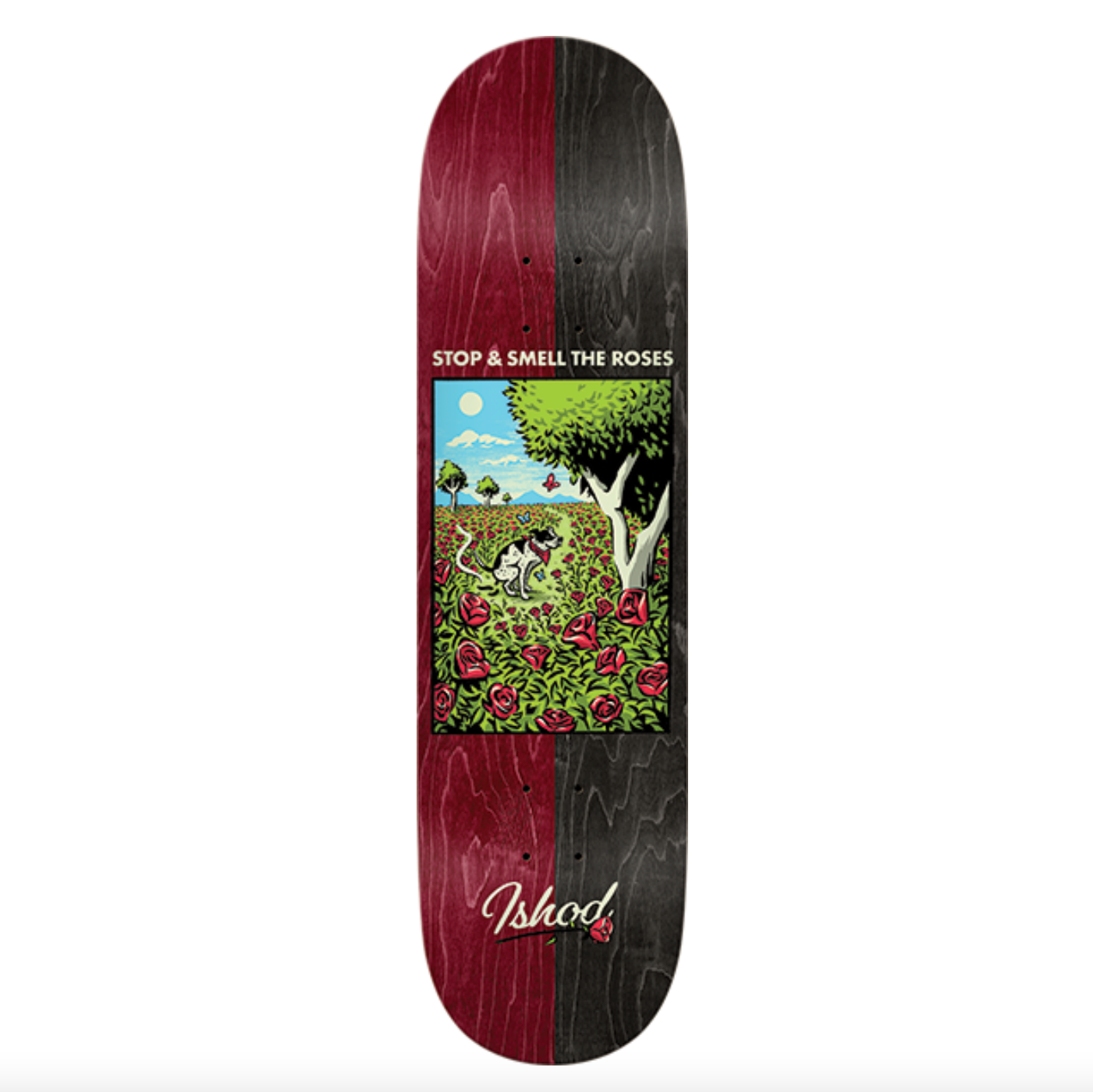 Skateboard deck with a colorful design and text on a white background