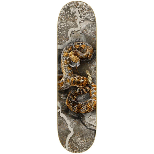 A skateboard deck featuring a detailed graphic print of a coiled rattlesnake over a textured gray and brown stone background, shown against a plain white studio backdrop.